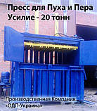 Гидравлический пресс для Пух-Пера 20 тонн, фото 2