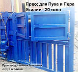 Гидравлический пресс для Пух-Пера 20 тонн, фото 5