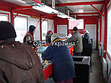 Мусоросортировочная линия, фото 2