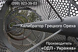 Установка для калибровки кедрового ореха барабанного типа, фото 4